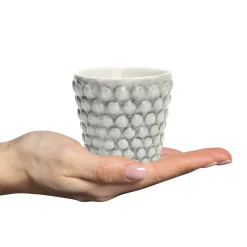 Mateus Bubbles Espressokopp 10 Cl Gra Clearance