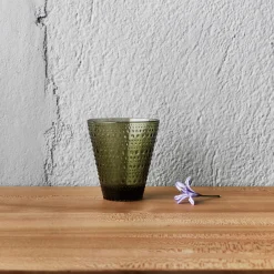Iittala Kastehelmi Glass 30 Cl 2-Stk Mosegronn Discount