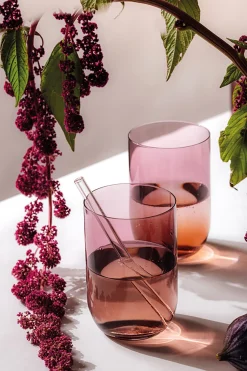 Villeroy & Boch Like Longdrinkglass 38,5 Cl 2-Pakning Grape Hot