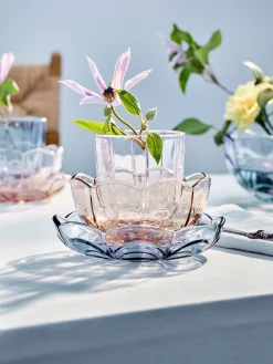 Holmegaard Lily Vannglass 32 Cl 2-Pakning Cherry Blossom New