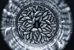 Spiegelau Lounge 2.0 Whiskyglass 30,9 Cl 4-Pakning Sale