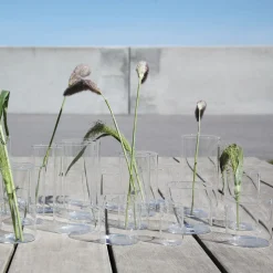 Ørskov Orskov Glass Large Clearance