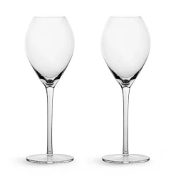 Sagaform Saga Champagneglass 2-Pakning Clearance