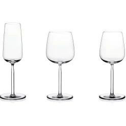 Iittala Senta Champagneglass 2-Pack Hot