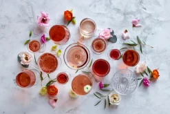 Lyngby Glas Zero Champagneglass Coupe 26 Cl 4-Pakning New